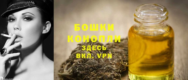 твердый Липки