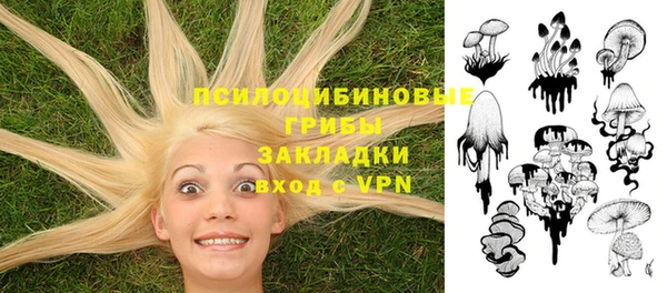 соль ск Лихославль