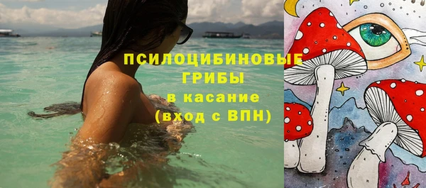 твердый Липки