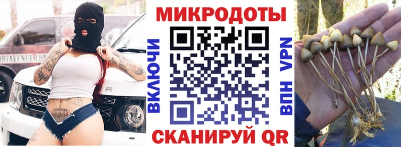купить наркоту Раменское Псилоцибиновые грибы Magic Shrooms