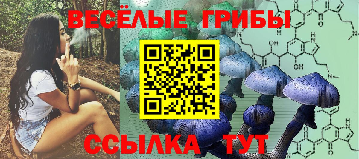 что такое наркотик  Вход с VPN  Раменское  Псилоцибиновые грибы Cubensis 