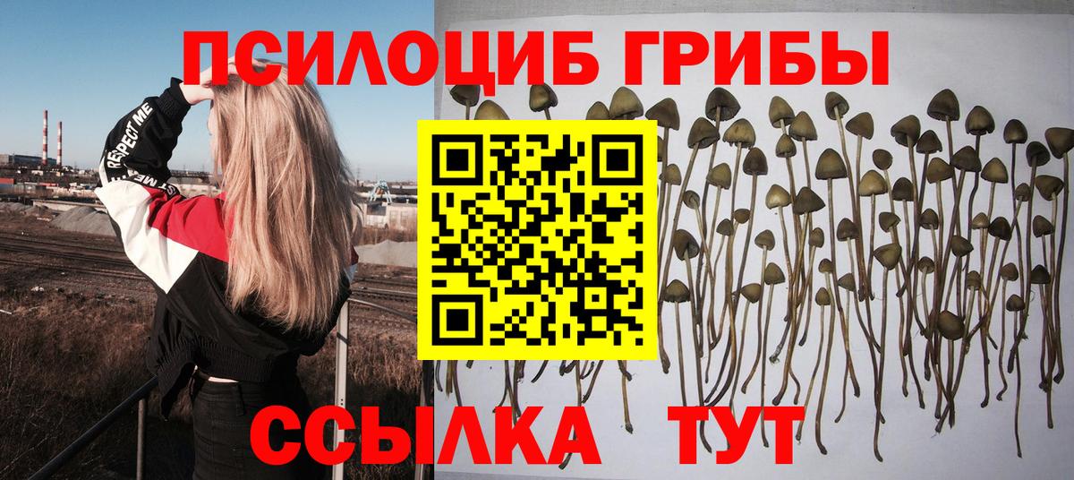 Псилоцибиновые грибы GOLDEN TEACHER Раменское